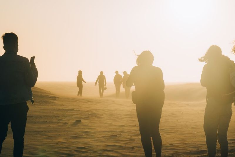 Upcoming Adventure Title Teases a Fully Reactive Desert Map